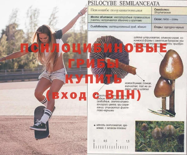 амф Аркадак