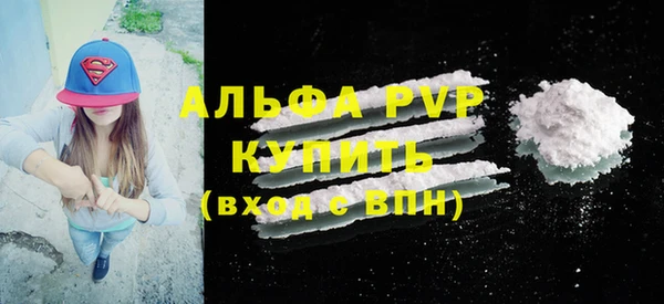 ГАЛЛЮЦИНОГЕННЫЕ ГРИБЫ Гусев
